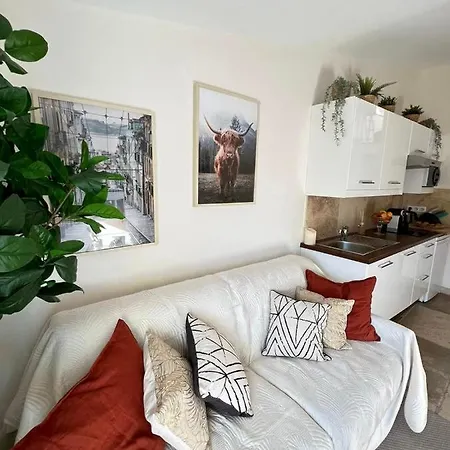 Charming In Old Apartament